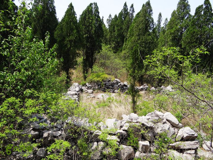 西桐古玉皇山天坑宋家村nEO_IMG_DSC02402