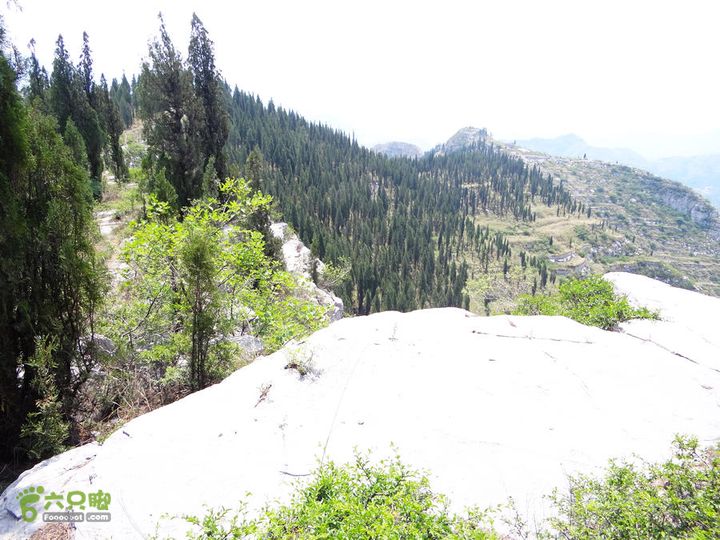 西桐古玉皇山天坑宋家村nEO_IMG_DSC02404