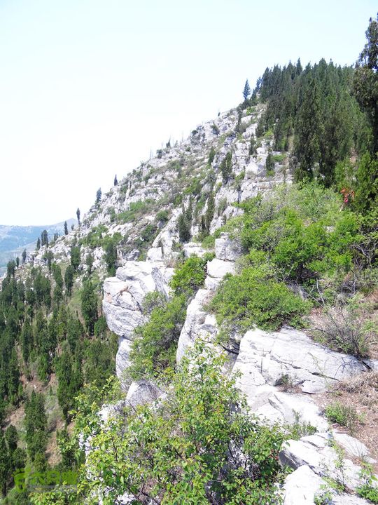 西桐古玉皇山天坑宋家村nEO_IMG_DSC02405