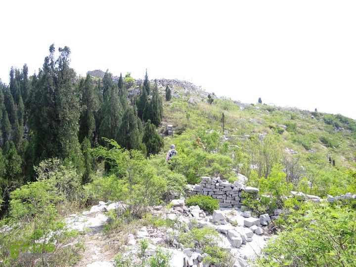 西桐古玉皇山天坑宋家村nEO_IMG_DSC02406