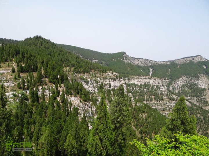 西桐古玉皇山天坑宋家村nEO_IMG_DSC02407