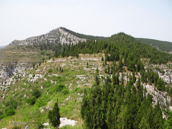 西桐古玉皇山天坑宋家村nEO_IMG_DSC02408