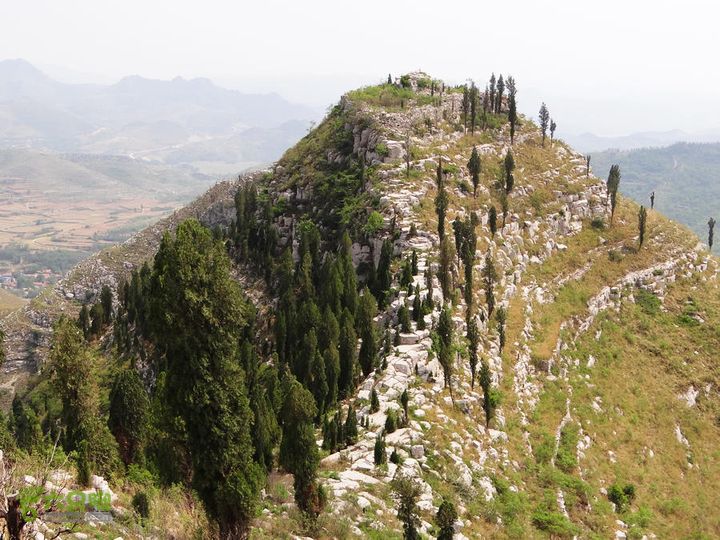 西桐古玉皇山天坑宋家村nEO_IMG_DSC02410