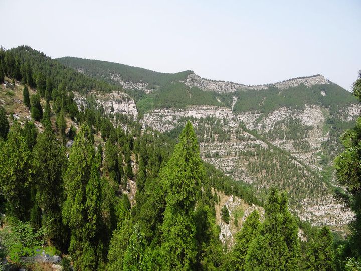 西桐古玉皇山天坑宋家村nEO_IMG_DSC02412