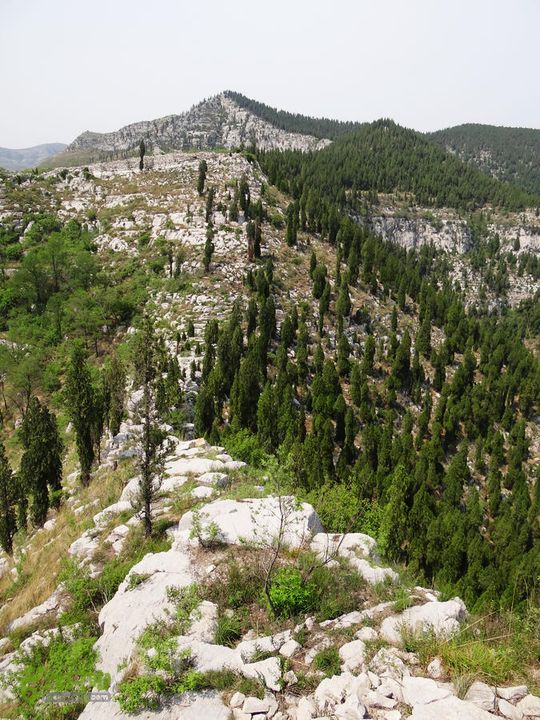 西桐古玉皇山天坑宋家村nEO_IMG_DSC02413