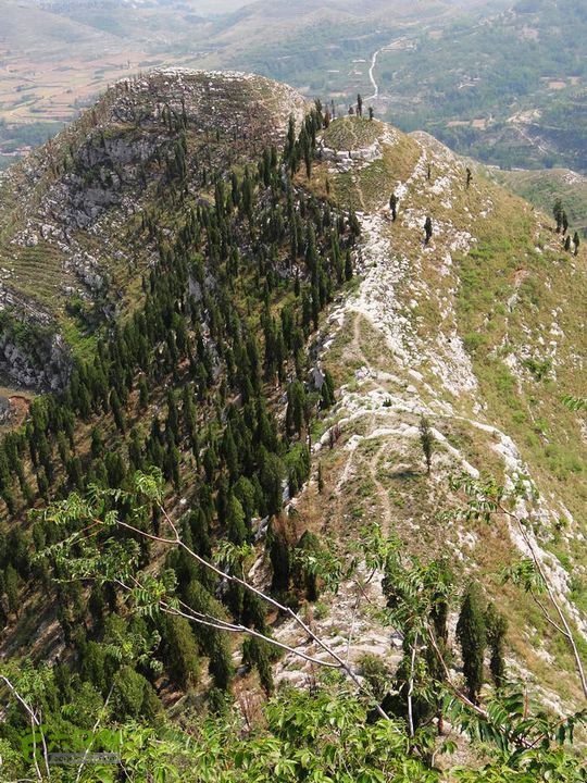 西桐古玉皇山天坑宋家村nEO_IMG_DSC02414