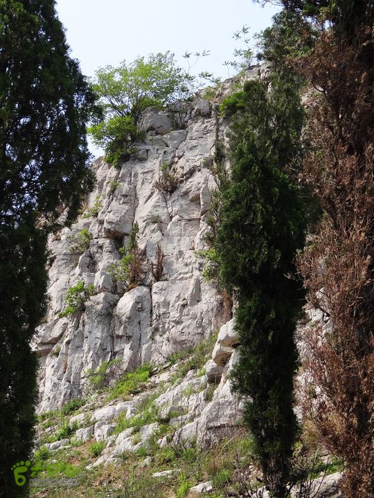 西桐古玉皇山天坑宋家村nEO_IMG_DSC02416