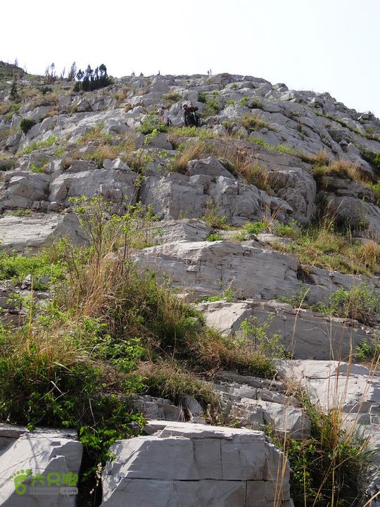 西桐古玉皇山天坑宋家村nEO_IMG_DSC02426