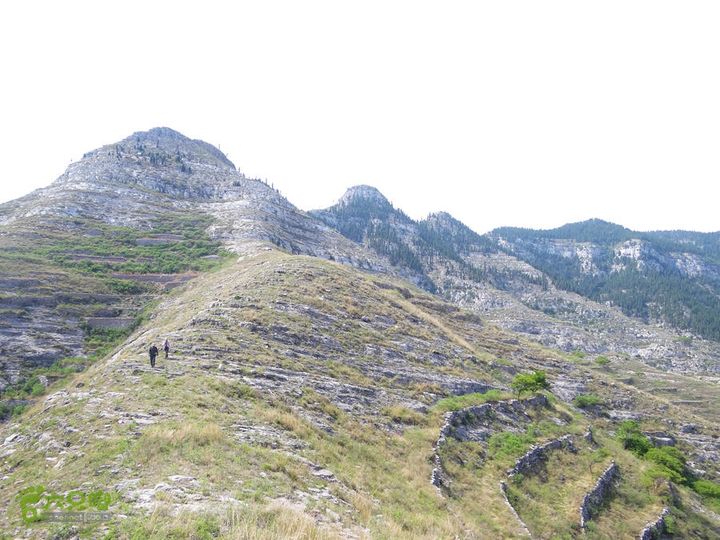 西桐古玉皇山天坑宋家村nEO_IMG_DSC02428