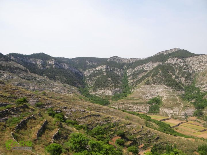 西桐古玉皇山天坑宋家村nEO_IMG_DSC02429