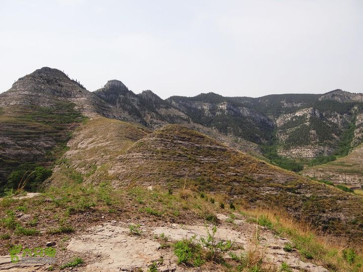 西桐古玉皇山天坑宋家村nEO_IMG_DSC02432