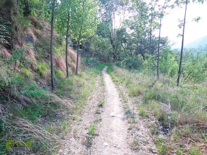 西桐古玉皇山天坑宋家村nEO_IMG_DSC02440