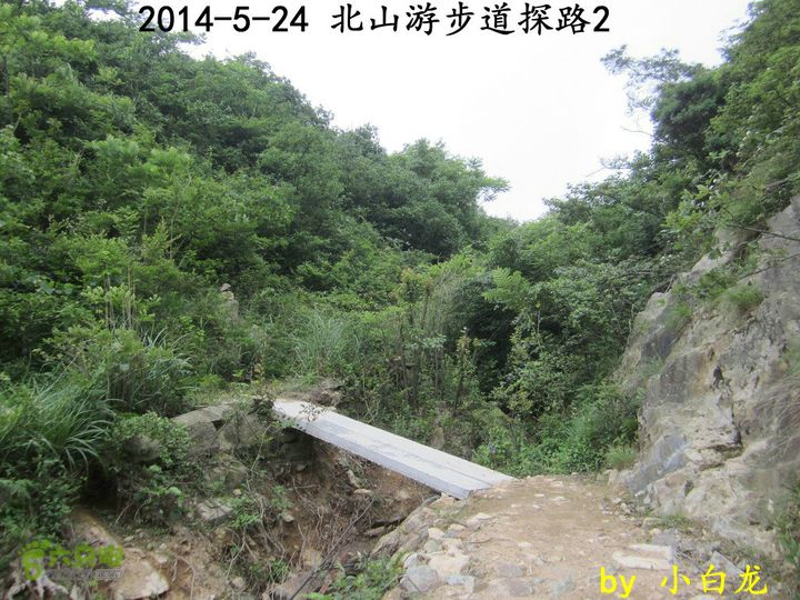 【白龙】北山游步道探路2（留车古道下竹林野路上）2014018 (20)回看留车古道