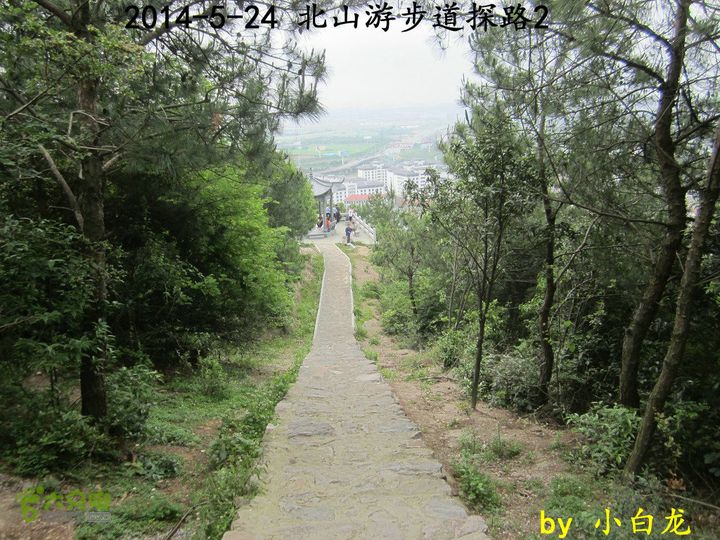 【白龙】北山游步道探路2（留车古道下竹林野路上）2014018 (30)下鞍山游步道