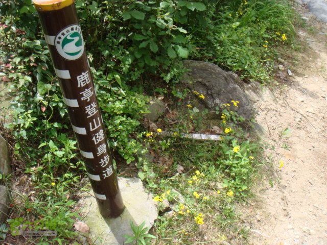 细岭-算坑-北山-小皎DSC08707