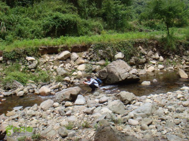 细岭-算坑-北山-小皎DSC08709