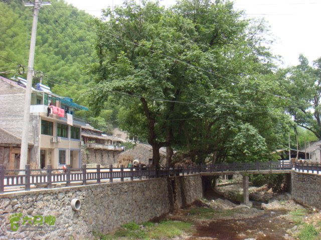 细岭-算坑-北山-小皎DSC08714