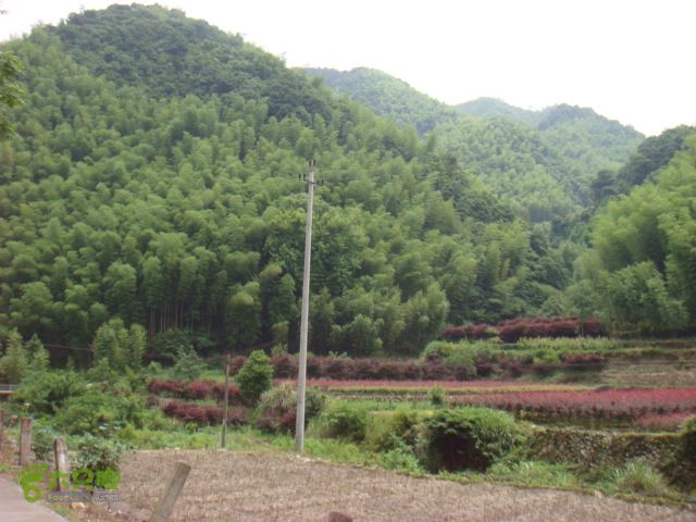 细岭-算坑-北山-小皎DSC08715