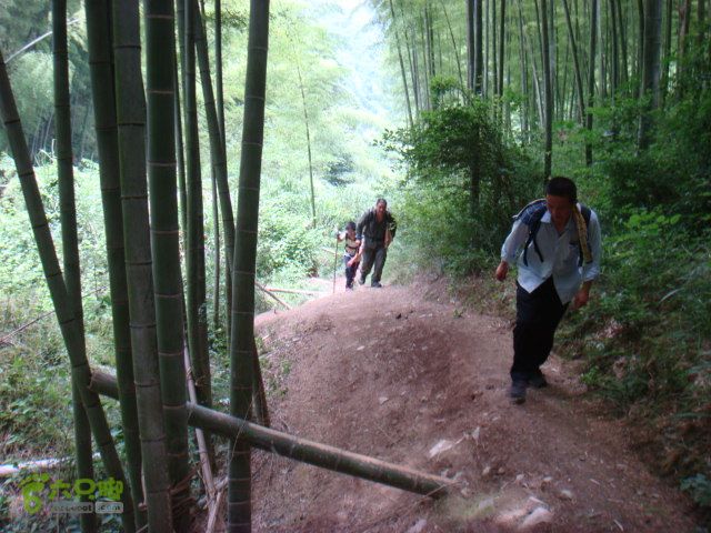 细岭-算坑-北山-小皎DSC08717