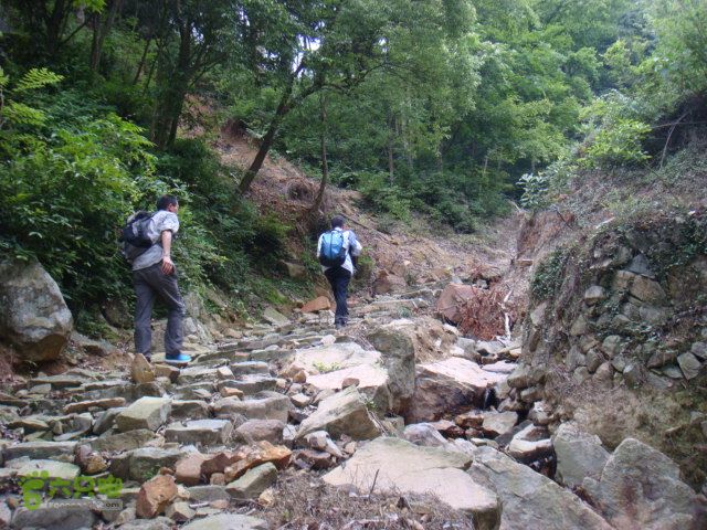 细岭-算坑-北山-小皎DSC08721