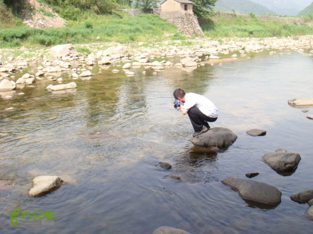 细岭-算坑-北山-小皎DSC08728