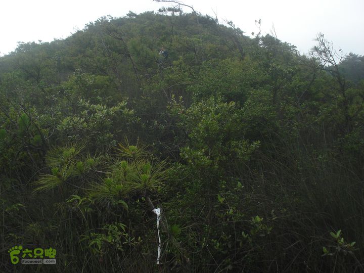 君竹环岛一旺岐楼水库一君山横路一叠石升官石一君竹DSC01439