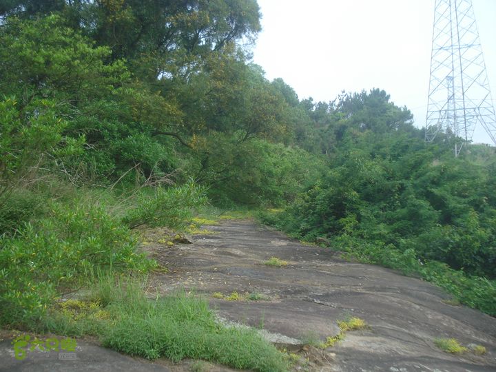 君竹环岛一旺岐楼水库一君山横路一叠石升官石一君竹石壁终点出口有小路