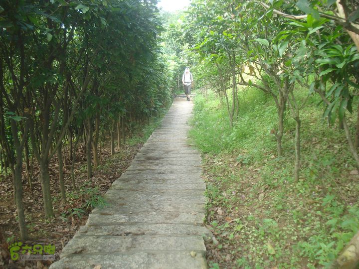 君竹环岛一旺岐楼水库一君山横路一叠石升官石一君竹君竹石板路下山