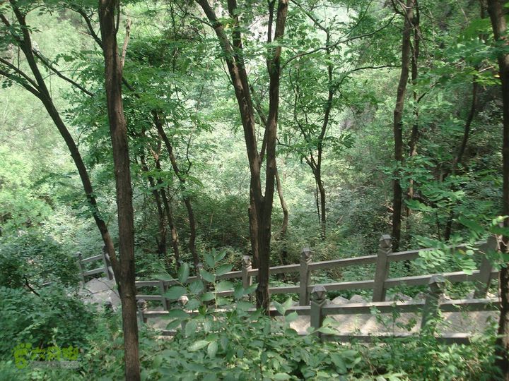 从五龙洞景区出发参观跑马岭DSC09740_眸目压缩