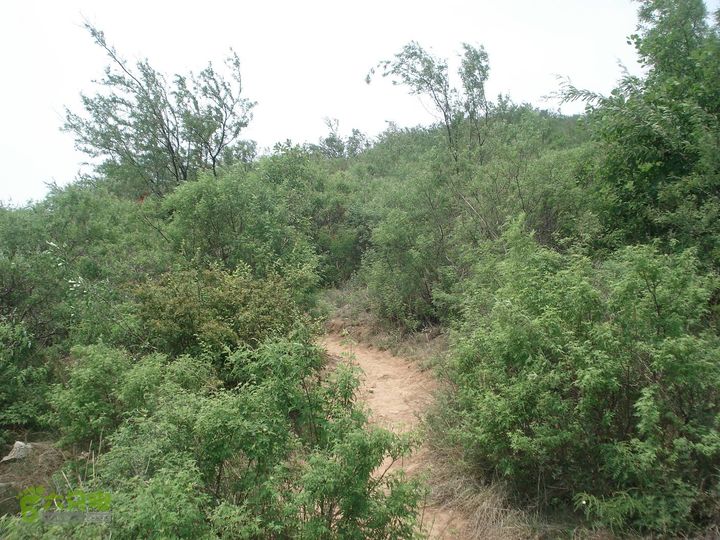 从五龙洞景区出发参观跑马岭DSC09765_眸目压缩