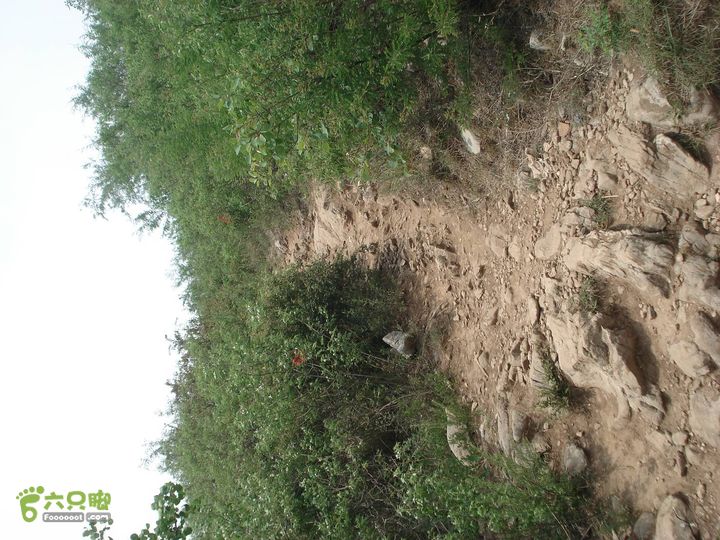 从五龙洞景区出发参观跑马岭DSC09767_眸目压缩