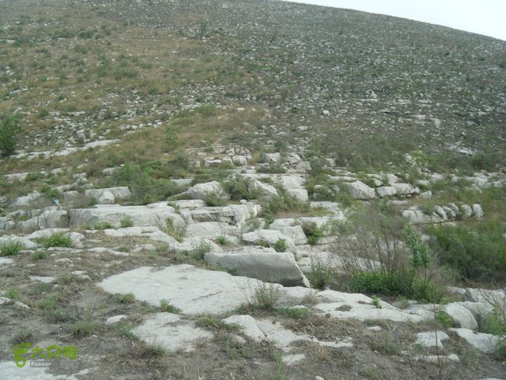 14.6.2鼓山大社老道平小庙山工人村DSCF0050