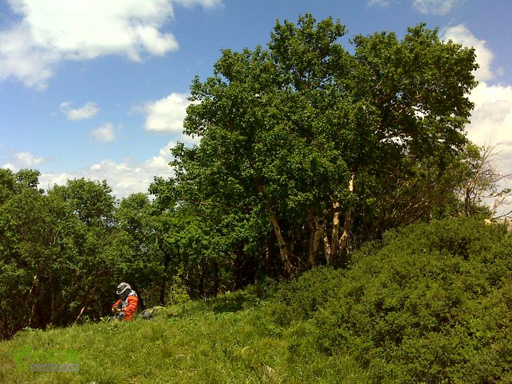 塔尔寺-无名二-无名一-实心楼-黄草梁-柏峪DSC00374