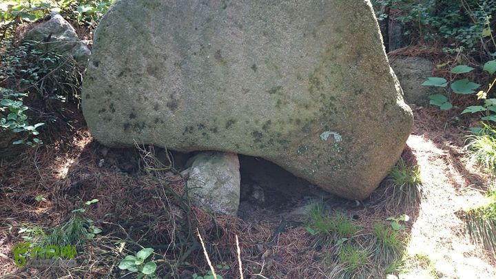 沂山情人谷DSC_0312