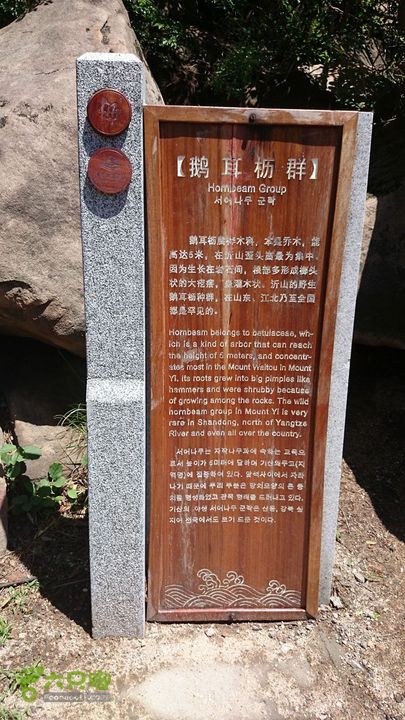 沂山情人谷DSC_0323