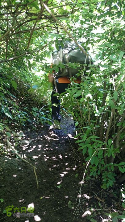 沂山情人谷DSC_0346