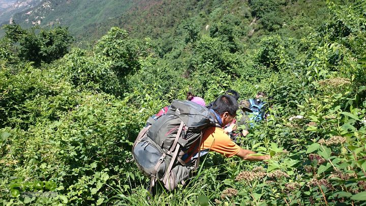 沂山情人谷DSC_0347