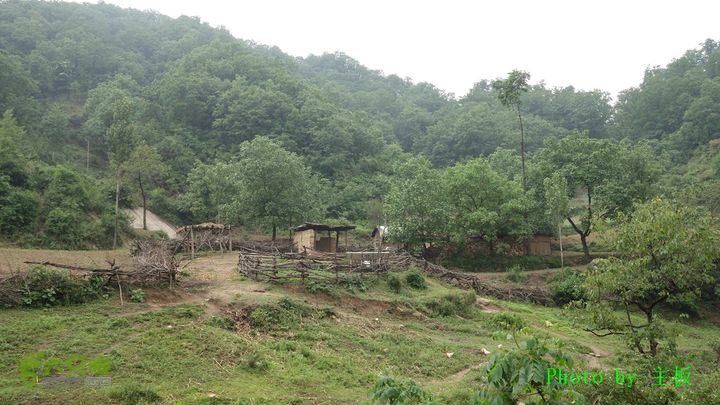 七峪沟-大河面-韭菜崖DSC04210