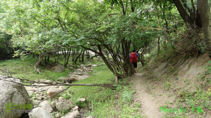 七峪沟-大河面-韭菜崖林荫小道