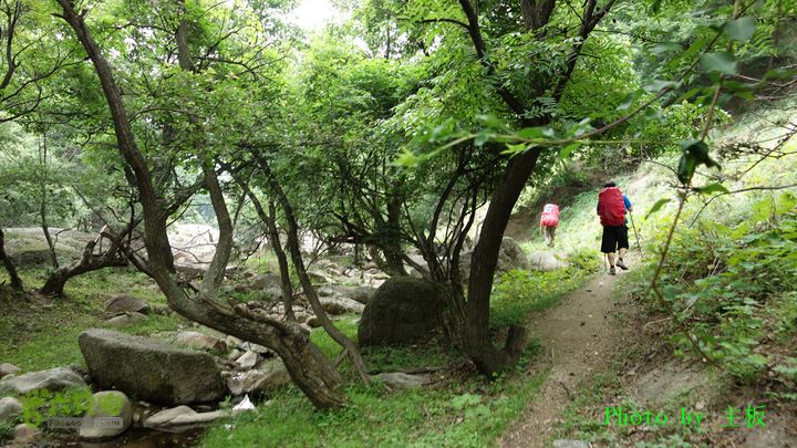 七峪沟-大河面-韭菜崖DSC04195