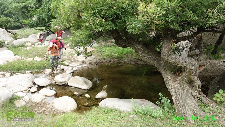 七峪沟-大河面-韭菜崖DSC04197