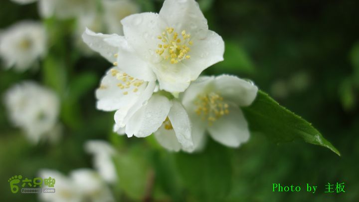 七峪沟-大河面-韭菜崖DSC04201