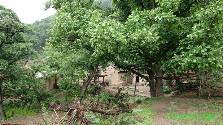 七峪沟-大河面-韭菜崖韭菜崖村庄