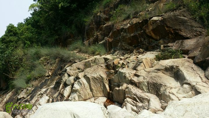 古兜山 水线 two2014-06-14 14:46:29