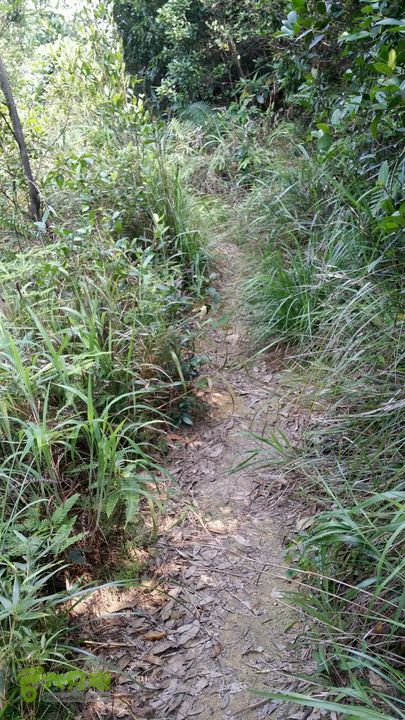 古兜山 水线 two2014-06-14 14:47:47