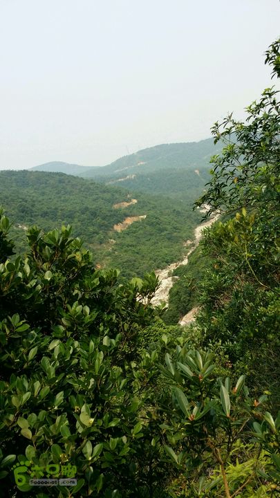 古兜山 水线 two2014-06-14 14:49:33