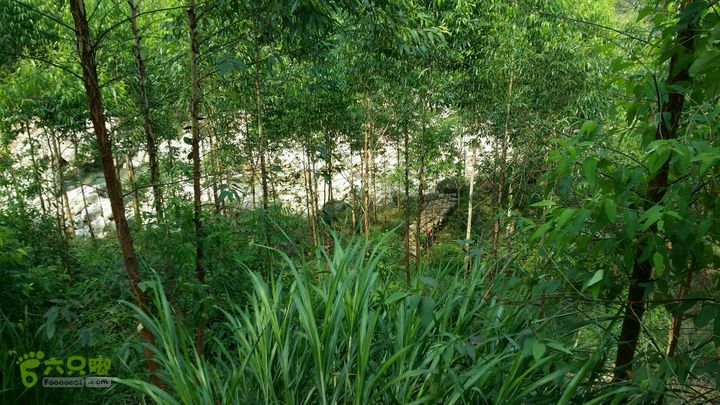 古兜山 水线 two2014-06-14 15:12:03