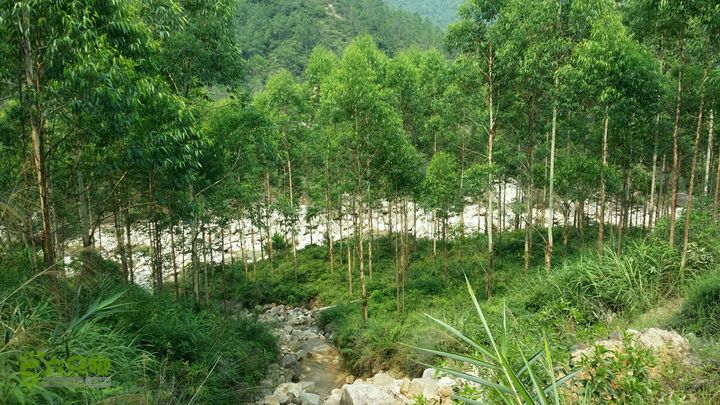 古兜山 水线 two2014-06-14 15:14:26