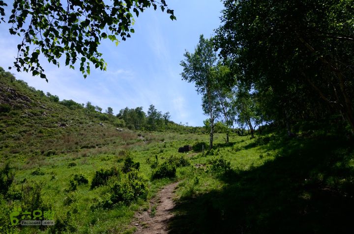 2014-06-14 塔尔寺村-北灵-柏峪20140614-120235