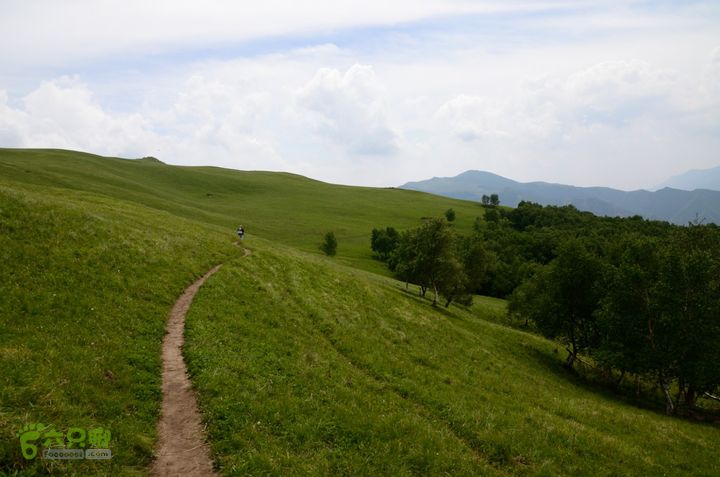 2014-06-14 塔尔寺村-北灵-柏峪20140614-133646